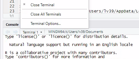 Rstudio Terminal Options